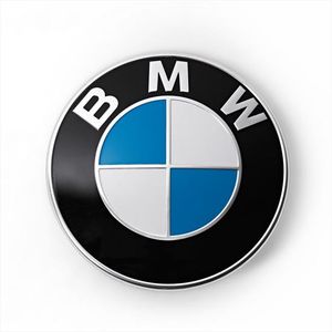 BMW Nut - Required for Front and Rear Emblems 51418176418
