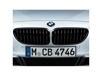 BMW 650i Grille - 51712297592