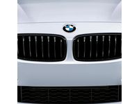 BMW 428i Gran Coupe Grille - 51712336813