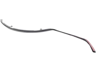 51767305545 BMW Seal, C-Pillar, Left Product Photo 5 of 6