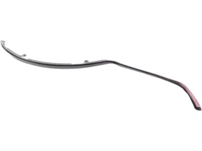 BMW 51767305545 Seal, C-Pillar, Left 51767305545 BMW Seal, C-Pillar, Left Product Photo 1 of 6