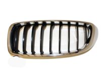 BMW 51137294813 Grille, Front, Left