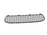 BMW 51118062178 Grille, Bumper, Middle Front