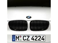 BMW 51712146911 Performance Black Kidney Grille/Left