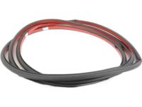 BMW 51767220381 Door Weatherstrip, Front BMW 51767220381 Door Weatherstrip, Front