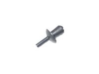 BMW 64221356171 Expanding Rivet