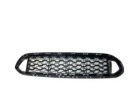 BMW 51118056939 Grille, Middle Bottom