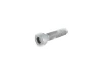 BMW 07119919723 Fillister Head Screw