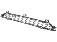 BMW 51118048096 Grille, Middle Top