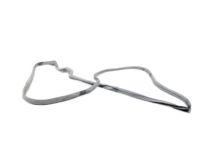 BMW 51221874879 Door Weatherstrip, Rear Left