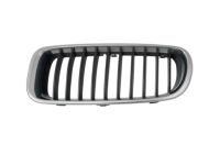 BMW 51137255411 Grille, Front, Left BMW 51137255411 Grille, Front, Left
