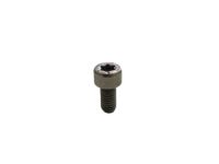 BMW 07129905867 Isa Screw