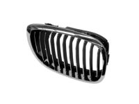 BMW 51137064318 Grille Right BMW 51137064318 Grille Right