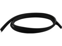 BMW 51728196291 Front Door Seal BMW 51728196291 Front Door Seal