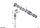Diagram for BMW M235i xDrive Gran Coupe Camshaft - 11318629236
