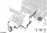 Diagram for 2018 BMW 330i xDrive Cooling Hose - 11537643226