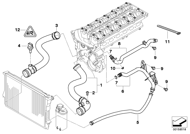 Cooling System - Water Hoses of Cooling / Exhaust System - 2004 BMW ...