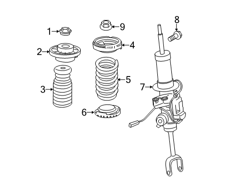 Front Coil Spring Diagram for 31336858424