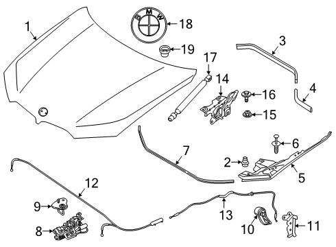 2022 BMW X5 Hood & Components Diagram