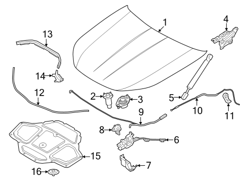 2024 BMW i7 Hood & Components Diagram