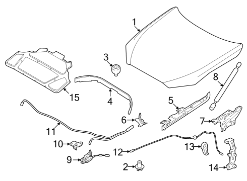 2022 BMW i4 Hood & Components Diagram