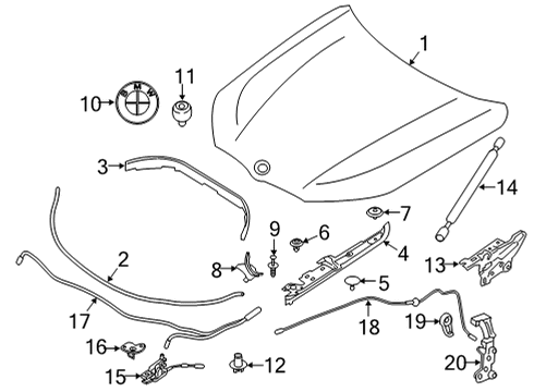 2024 BMW 840i Gran Coupe Hood & Components Diagram