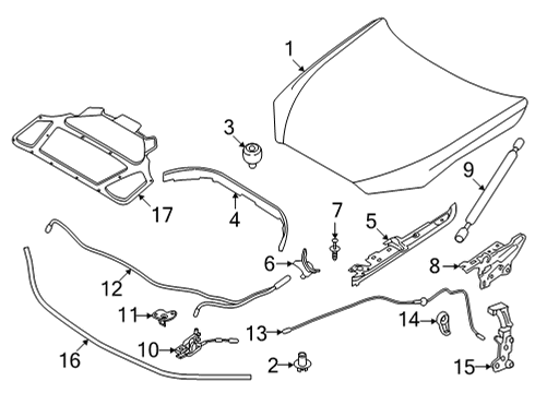 2024 BMW M440i Hood & Components Diagram