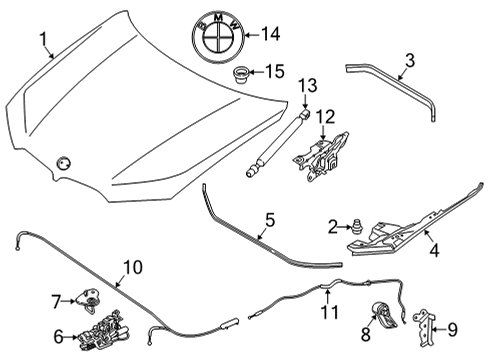 2021 BMW X6 M Hood & Components Diagram