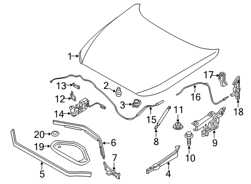 2021 BMW 230i Hood & Components Diagram