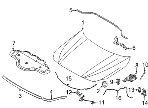 2022 BMW 228i Gran Coupe Hood & Components Diagram