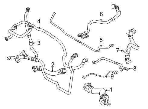 2023 BMW X3 M Radiator Hoses Diagram 3