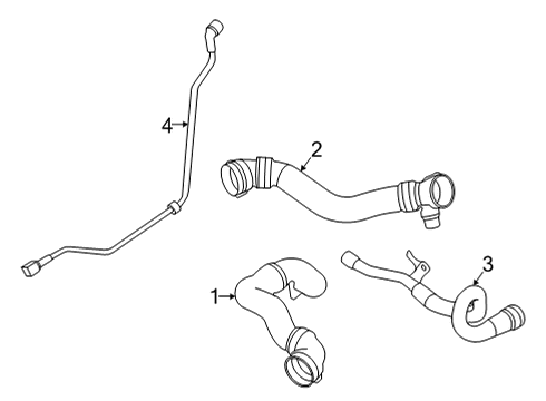 2024 BMW M8 Hoses, Lines & Pipes Diagram 1