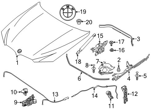 2021 BMW X4 Hood & Components Diagram