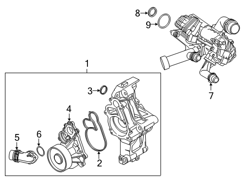 2021 BMW 740i xDrive Water Pump Diagram