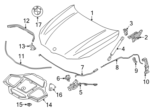 2022 BMW 750i xDrive Hood & Components Diagram