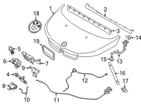 2021 BMW i3 Hood & Components Diagram