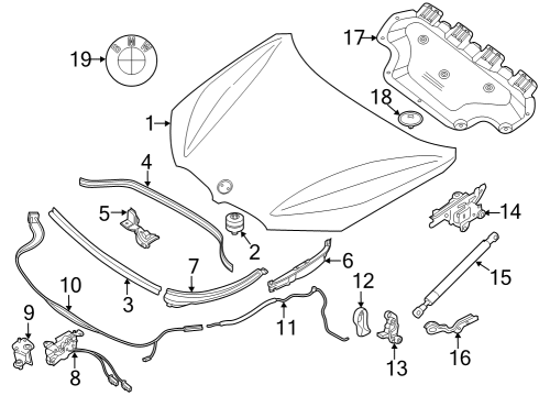 2024 BMW X1 RIGHT ENGINE HOOD HINGE Diagram for 41009629174