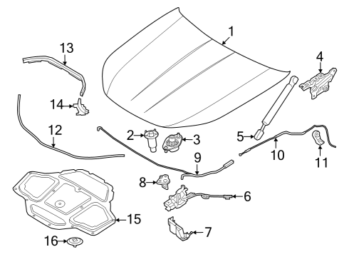 2023 BMW 760i xDrive Hood & Components Diagram