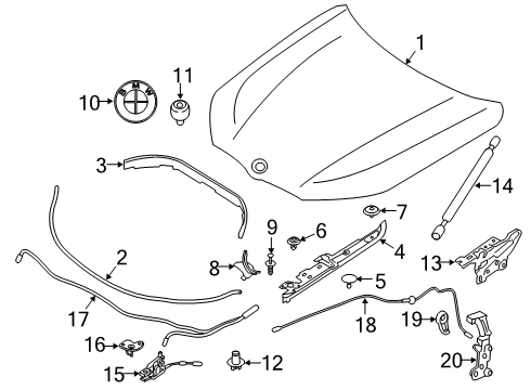 2021 BMW M850i xDrive Hood & Components Diagram