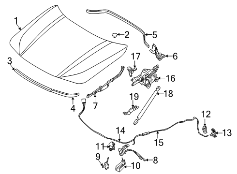 2023 BMW X2 Hood & Components Diagram