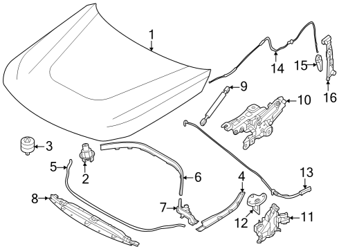 2023 BMW M240i ALUMINIUM ENGINE HOOD Diagram for 41009464525