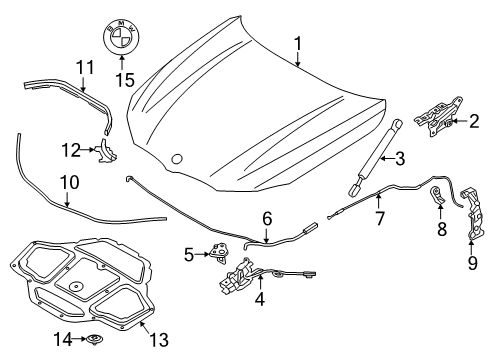 2022 BMW M5 Hood & Components Diagram