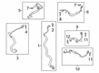 Diagram for 2024 BMW M850i xDrive Cooling Hose - 11538841579