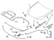 Diagram for BMW M440i Weather Strip - 51767486823