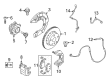 Diagram for BMW 230i Brake Backing Plate - 34206871339