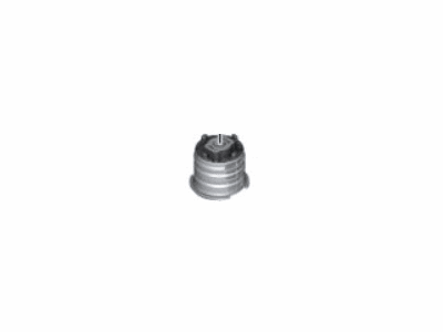 BMW Z4 Crossmember Bushing - 33316876240