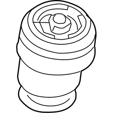 BMW X6 Air Suspension Spring - 37126790081