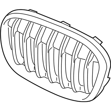 BMW 51117383366 Grille, Front, Right