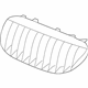 BMW 51137077931 Grille Left