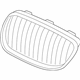 BMW 51138064143 Grille, Front, Left